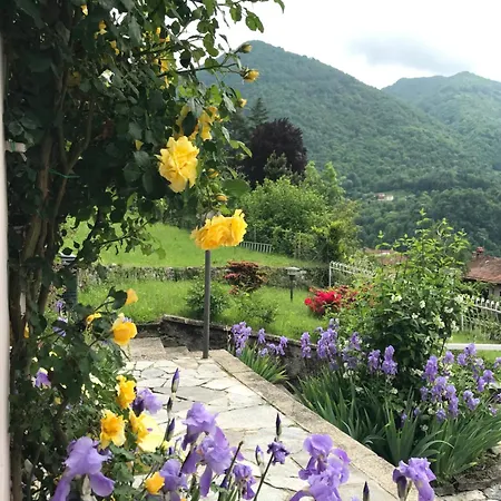 In Oleandra With Privet Garden & Pool
